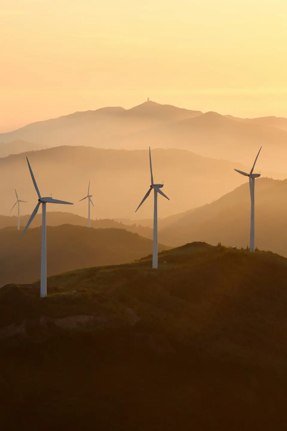 Aurillo Group's Net-Zero Carbon concept