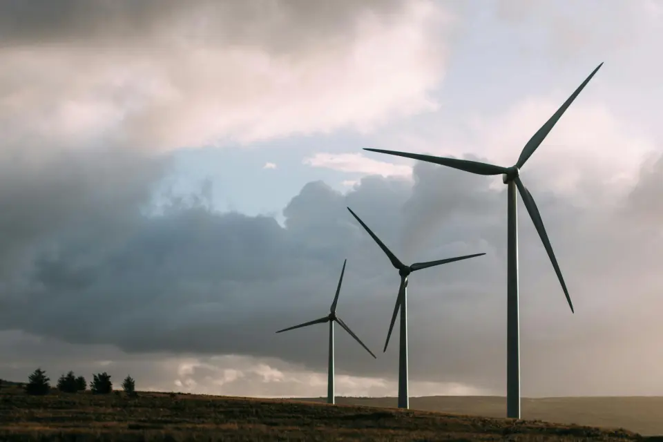 Aurillo Group sustainability