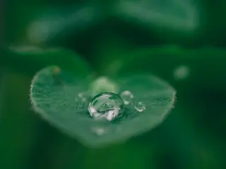 Sustainability Strategy Overview by Aurillo Group