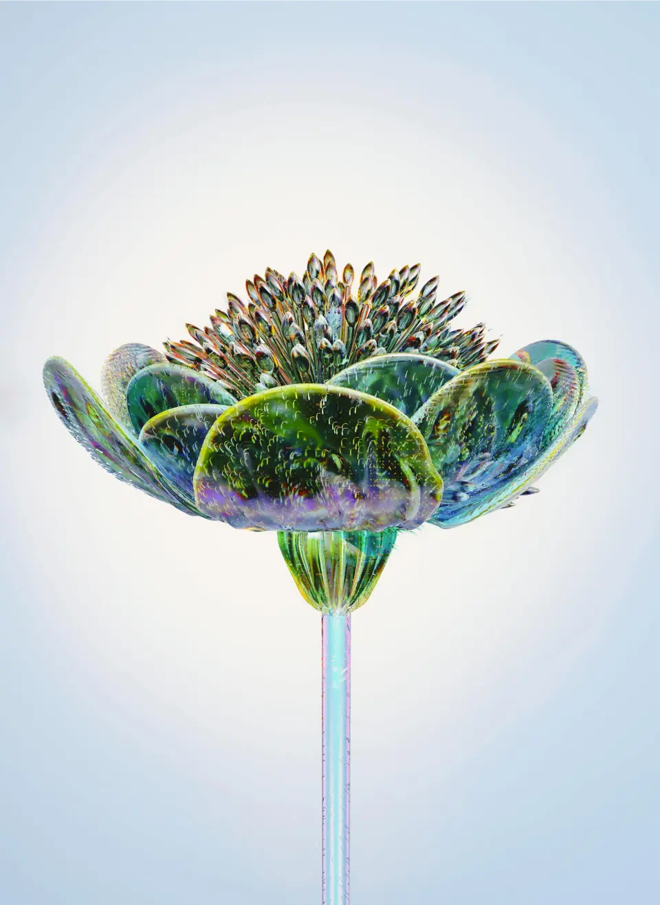 Sustainability in Aurillo Group