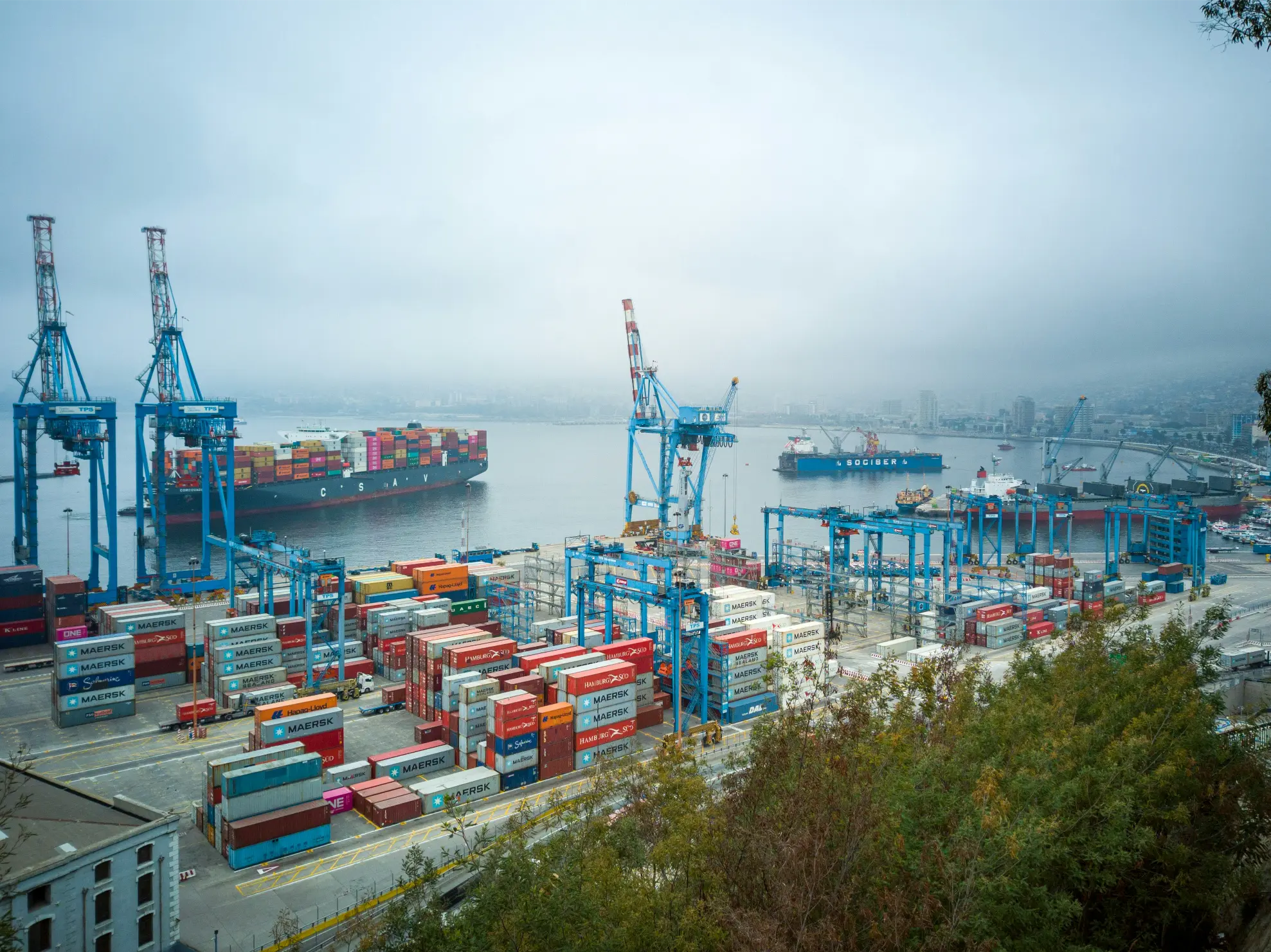 aurillo-legacy-journey-redefining-global-trade-with-purpose-and-vision